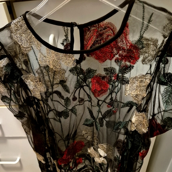 Ladies  beautiful  sheer blouse - Picture 3 of 5